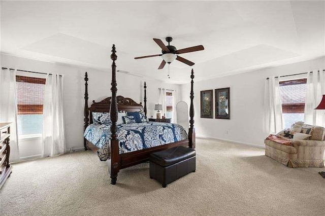 316 Branch Valley Dr NE, Dallas, GA 30132 - bedroom with a raised ceiling, multiple windows, light colored carpet, and baseboards