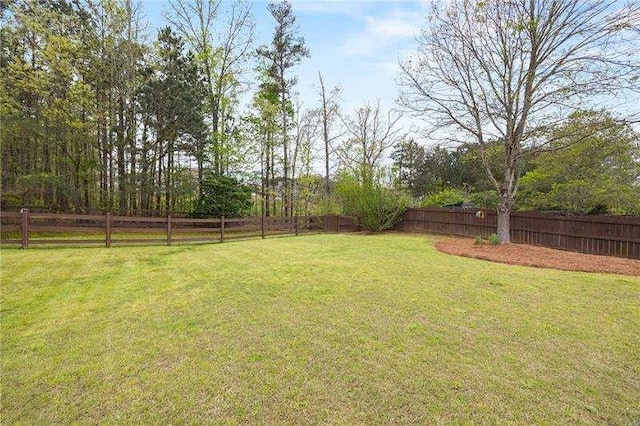 316 Branch Valley Dr NE, Dallas, GA 30132 - view of yard