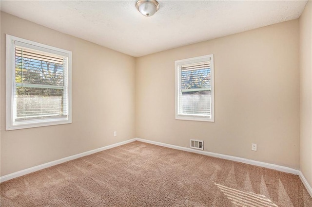 empty room with carpet flooring and a wealth of natural light