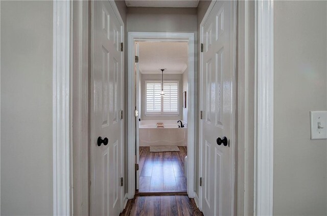 corridor with dark wood-type flooring