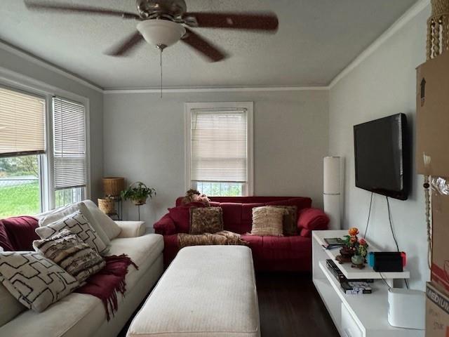 2620 Northview Ave, Decatur, GA 30032 - living room featuring ceiling fan, healthy amount of natural light, crown molding, and wood finished floors