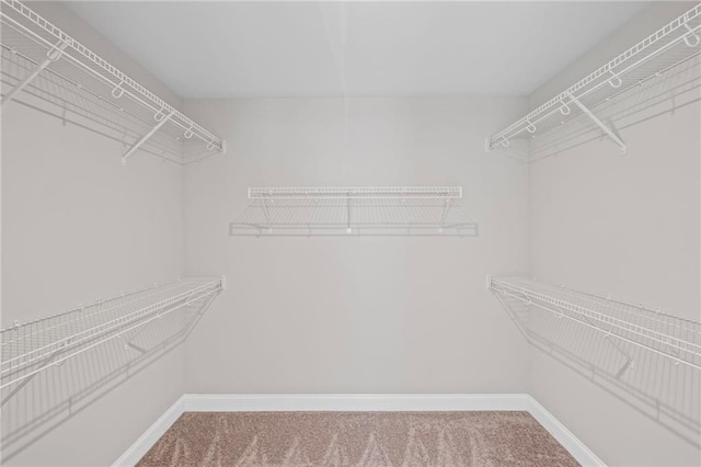 5153 Elkins Ln, Acworth, GA 30101 - walk in closet featuring carpet flooring