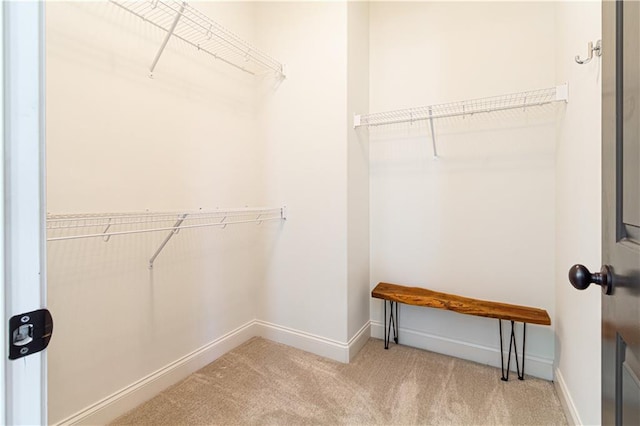 2067 Telfair Cir Unit A & B, Atlanta, GA 30324 - walk in closet with carpet floors