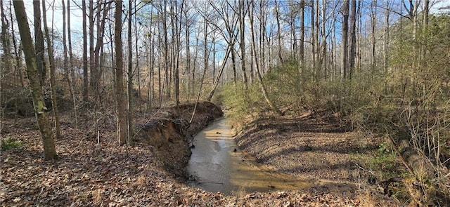 view of local wilderness featuring a forest view