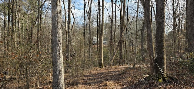 view of local wilderness with a wooded view