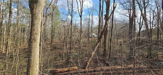 view of local wilderness with a view of trees