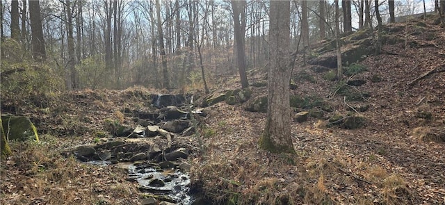 view of nature featuring a wooded view