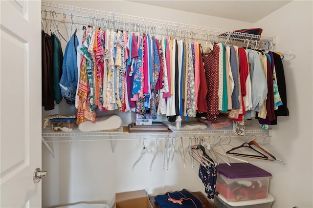 view of spacious closet