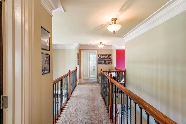 hallway featuring crown molding and carpet flooring