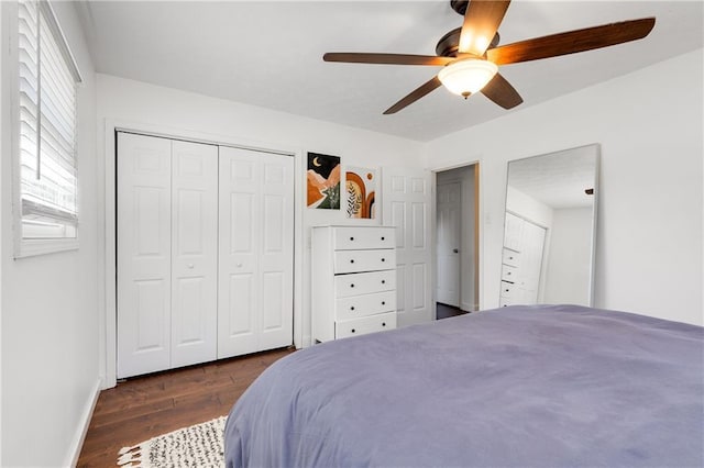 bedroom featuring ceiling fan, baseboards, dark wood finished floors, and a closet