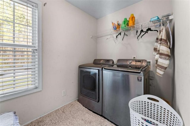 laundry room featuring laundry area, plenty of natural light, carpet, and separate washer and dryer