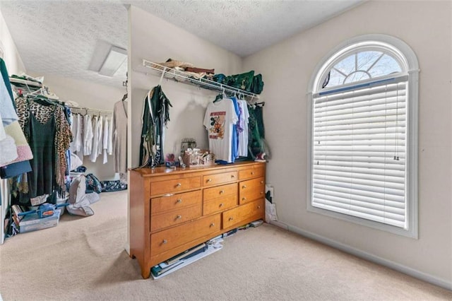 spacious closet featuring carpet