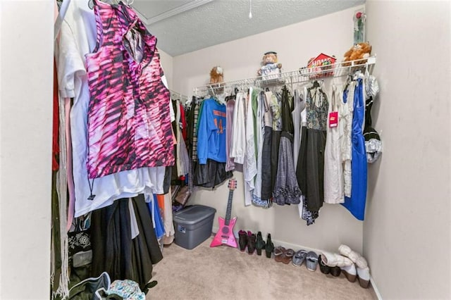 spacious closet with carpet