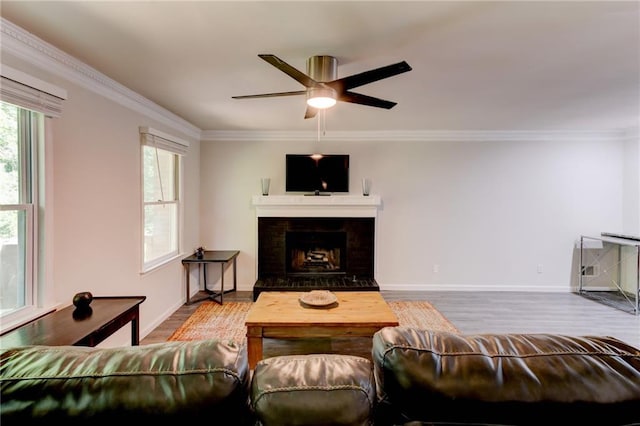 4417 Village Square Ln, Stone Mountain, GA 30083 - living room with ceiling fan, wood finished floors, ornamental molding, and a fireplace with raised hearth