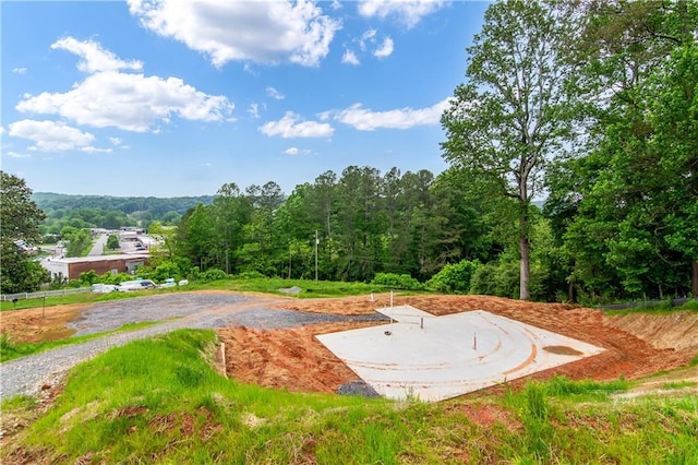 196 Mountain Trce, Ellijay, GA 30540 - view of property's community with a forest view