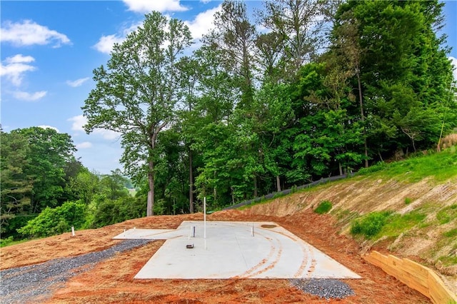 196 Mountain Trce, Ellijay, GA 30540 - view of yard