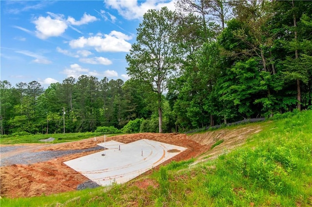 196 Mountain Trce, Ellijay, GA 30540 - view of street