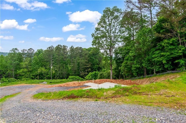196 Mountain Trce, Ellijay, GA 30540 - view of road with a wooded view