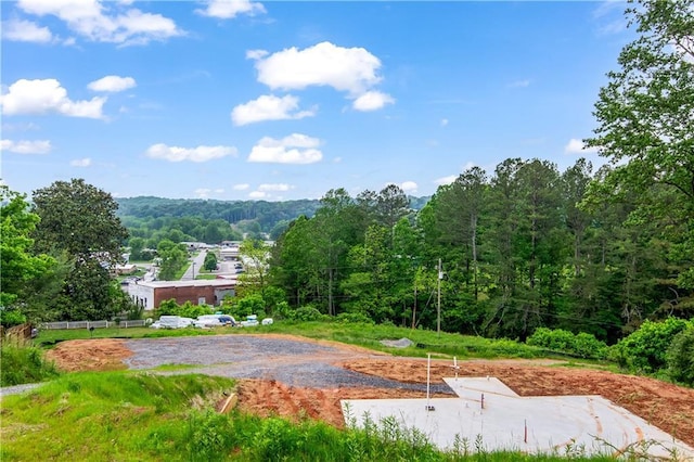 196 Mountain Trce, Ellijay, GA 30540 - view of woods