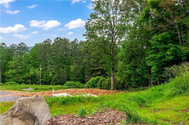 196 Mountain Trce, Ellijay, GA 30540 - aerial view of property and surrounding area