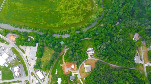 196 Mountain Trce, Ellijay, GA 30540 - view of road