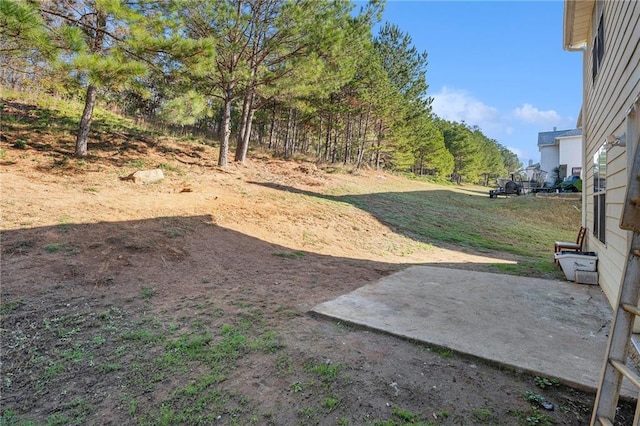 view of yard with a patio