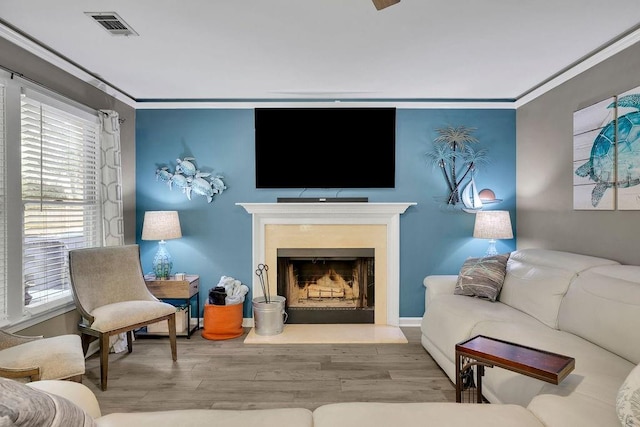 3202 Ivy Station Way, Duluth, GA 30096 - living area featuring wood finished floors, a fireplace with flush hearth, and ornamental molding