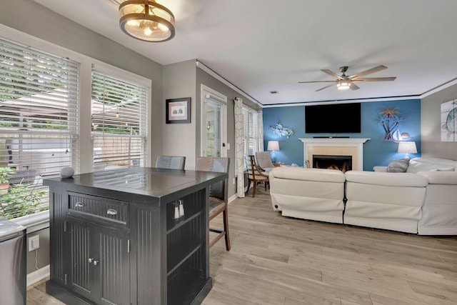 3202 Ivy Station Way, Duluth, GA 30096 - living area with ceiling fan, a fireplace, light wood-style floors, baseboards, and ornamental molding