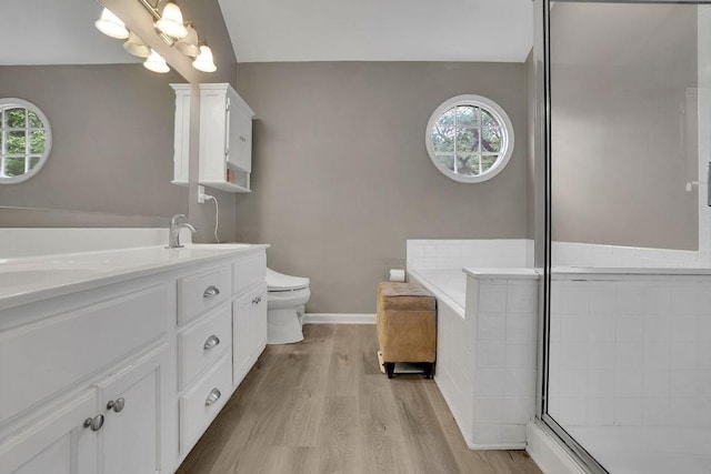 3202 Ivy Station Way, Duluth, GA 30096 - bathroom with plenty of natural light, vanity, wood finished floors, and toilet
