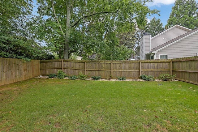 3202 Ivy Station Way, Duluth, GA 30096 - view of yard