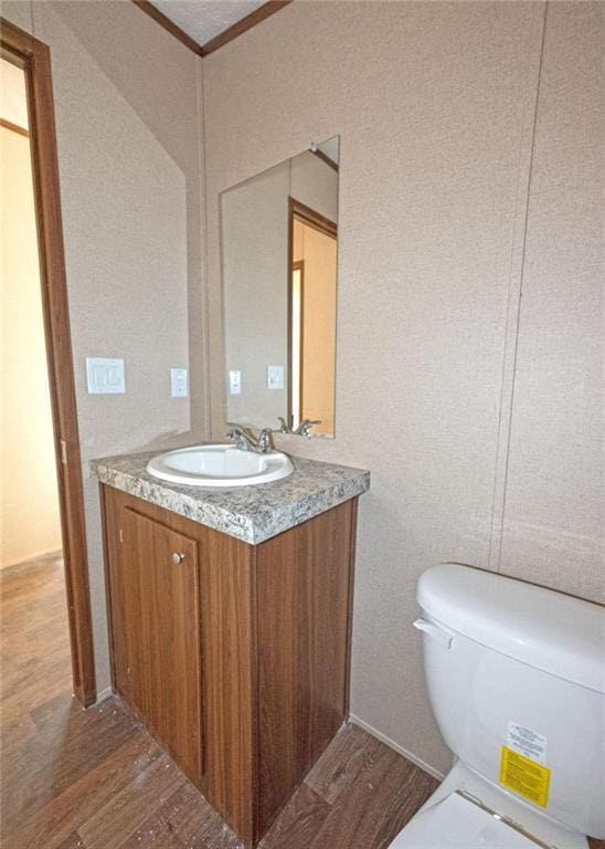 bathroom featuring vanity, wood-type flooring, and toilet