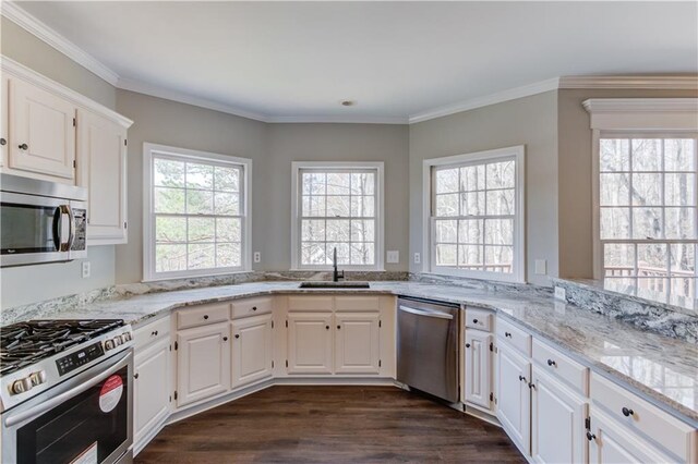 kitchen featuring dark wood-type flooring, light stone countertops, a sink, and stainless steel appliances