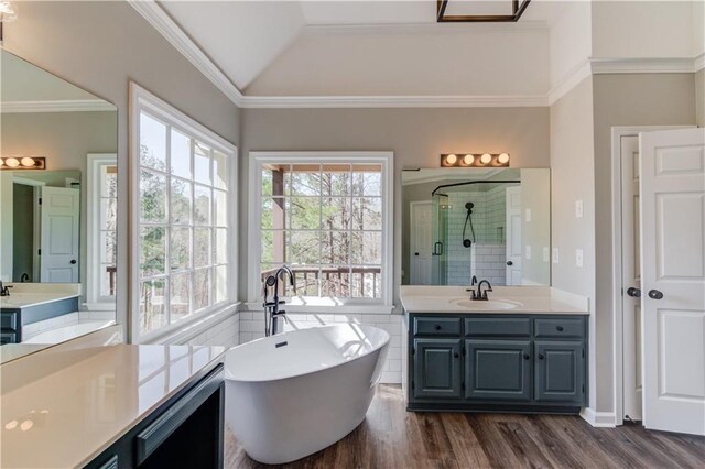 bathroom featuring ornamental molding, a sink, a shower stall, and wood finished floors