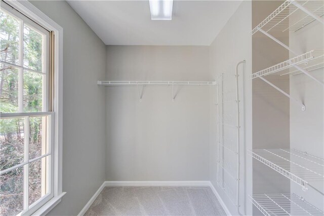 spacious closet with carpet floors