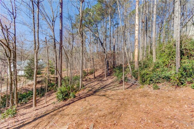 view of yard with a forest view