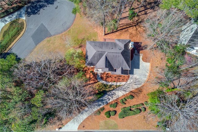 bird's eye view