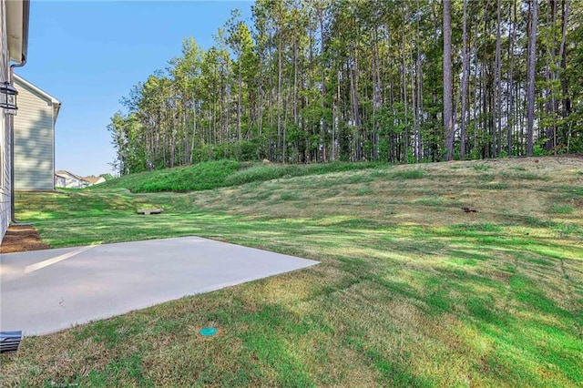 view of yard featuring a patio area