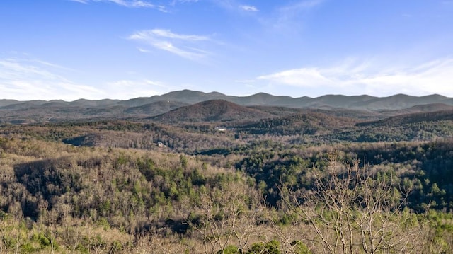 property view of mountains