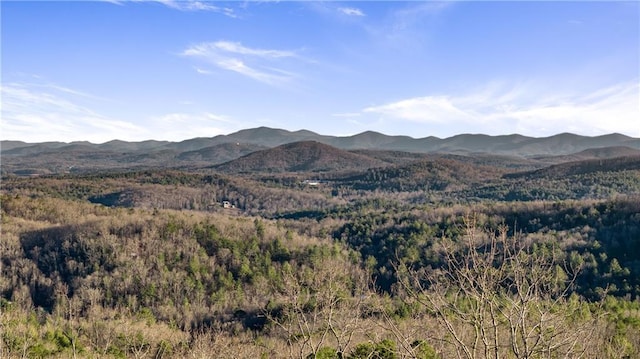 799 Bruce Mountain Rd, Morganton, GA 30560 - view of mountain backdrop