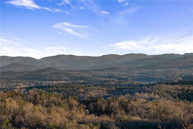 799 Bruce Mountain Rd, Morganton, GA 30560 - view of mountain background featuring a heavily wooded area