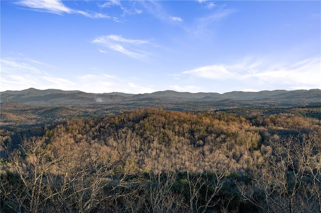 799 Bruce Mountain Rd, Morganton, GA 30560 - mountain view featuring a heavily wooded area