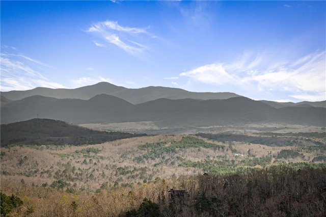 799 Bruce Mountain Rd, Morganton, GA 30560 - view of mountain background