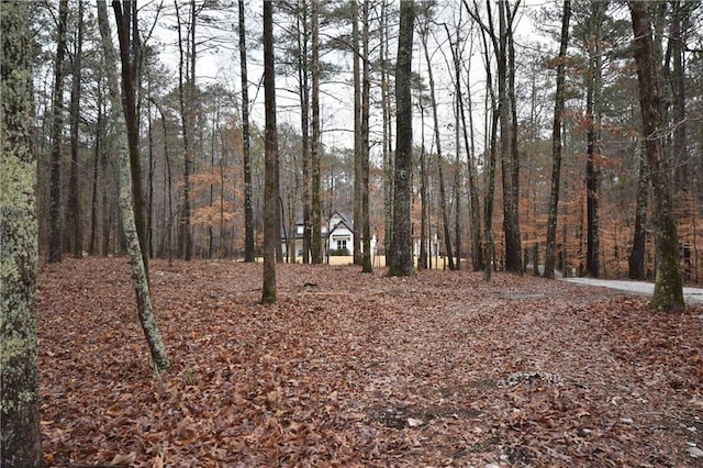 view of local wilderness featuring a wooded view