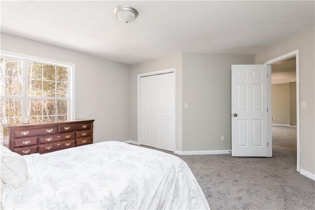 bedroom featuring carpet and a closet