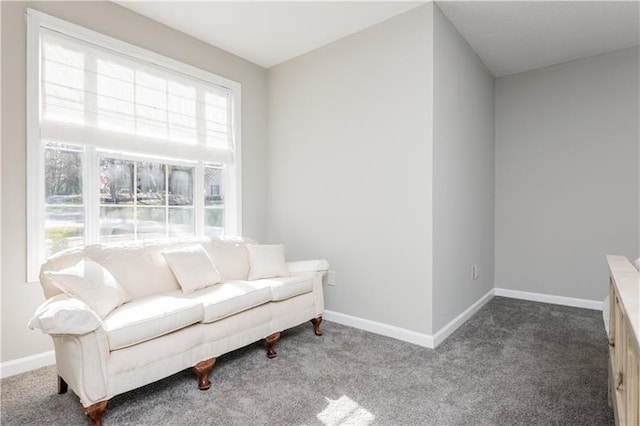 living area with carpet flooring