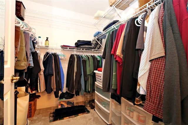 spacious closet with carpet floors