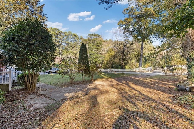 2081 Dodson Dr SW, Atlanta, GA 30311 - view of yard