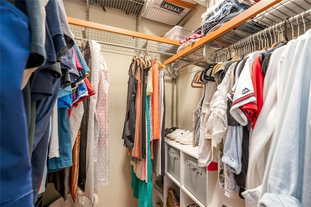 view of walk in closet