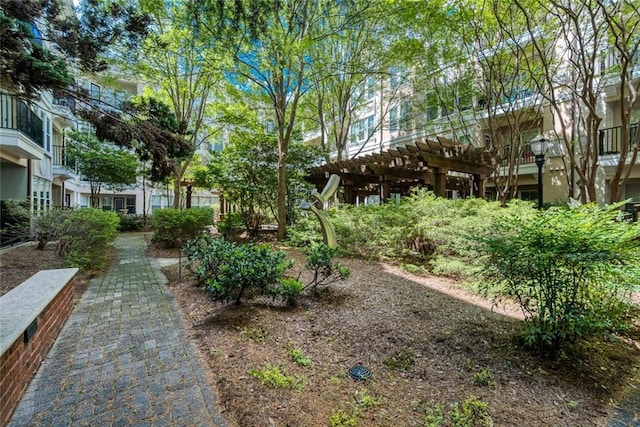 view of yard featuring a pergola