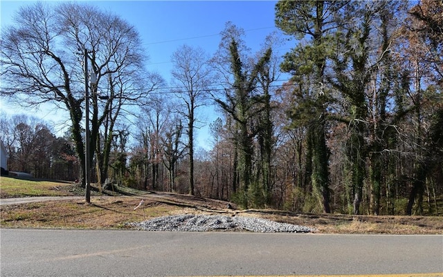 391 Marvin Land Ln, Canton GA, 30115 land for sale